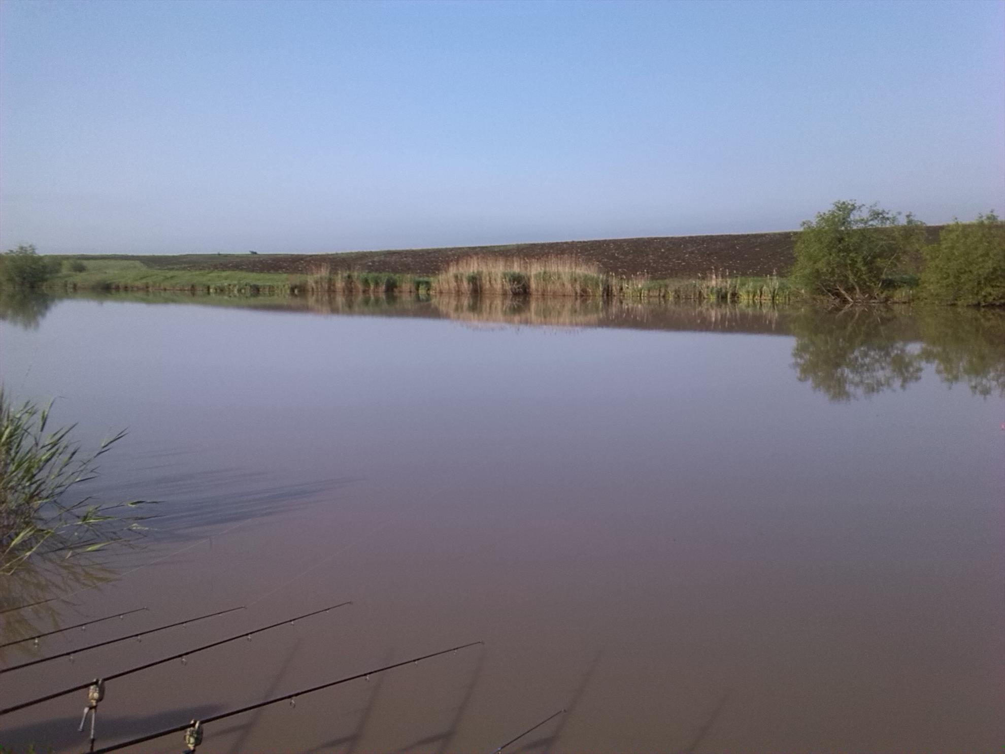 lilieci teleorman - img20140501081434.jpg